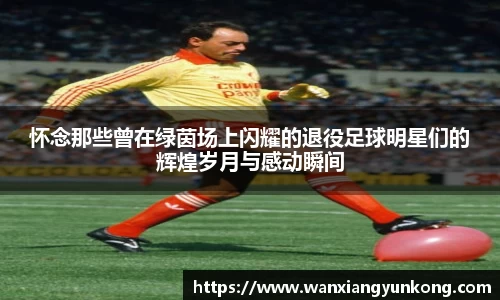 怀念那些曾在绿茵场上闪耀的退役足球明星们的辉煌岁月与感动瞬间